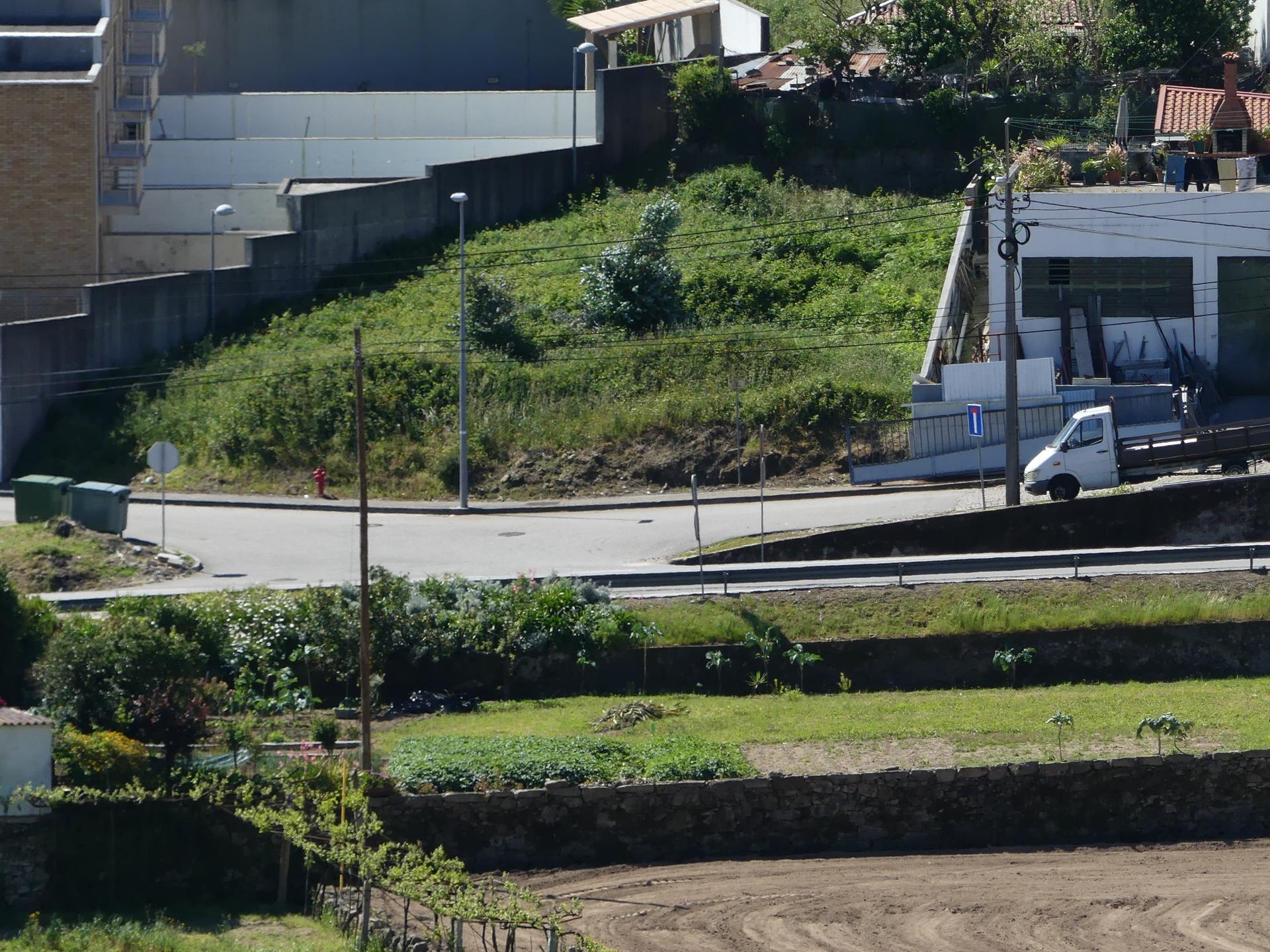 Farm in Barcelos — photograph 5