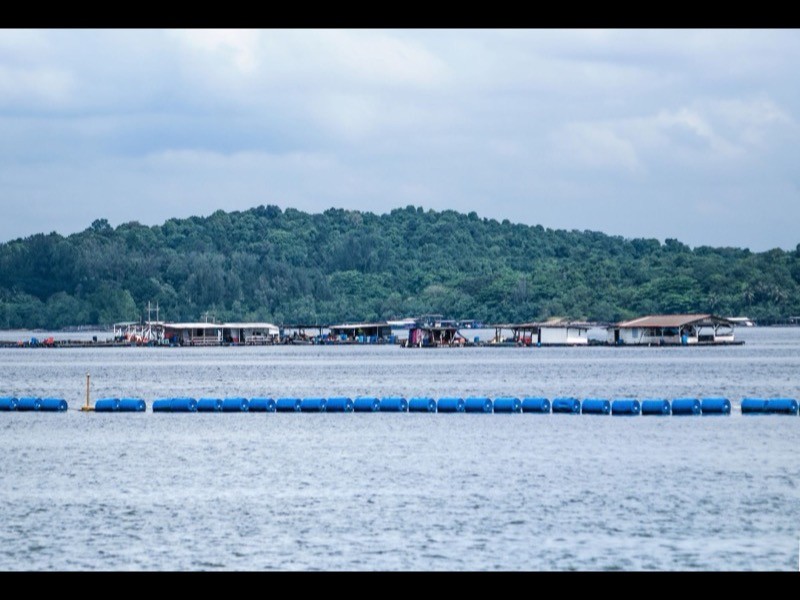 Pasir Ris